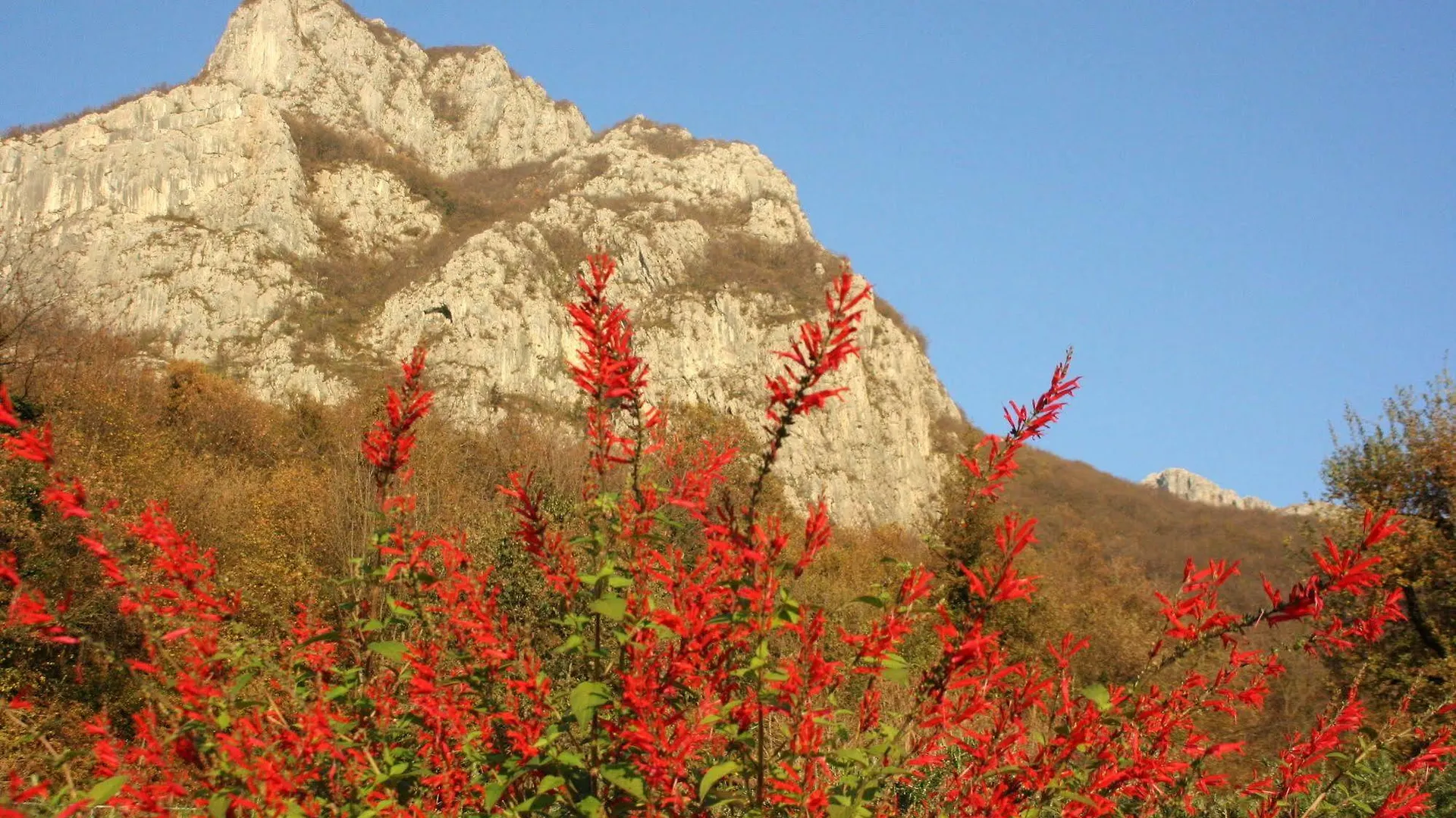 Agriturismo Deviscio 레코 0*,  이탈리아