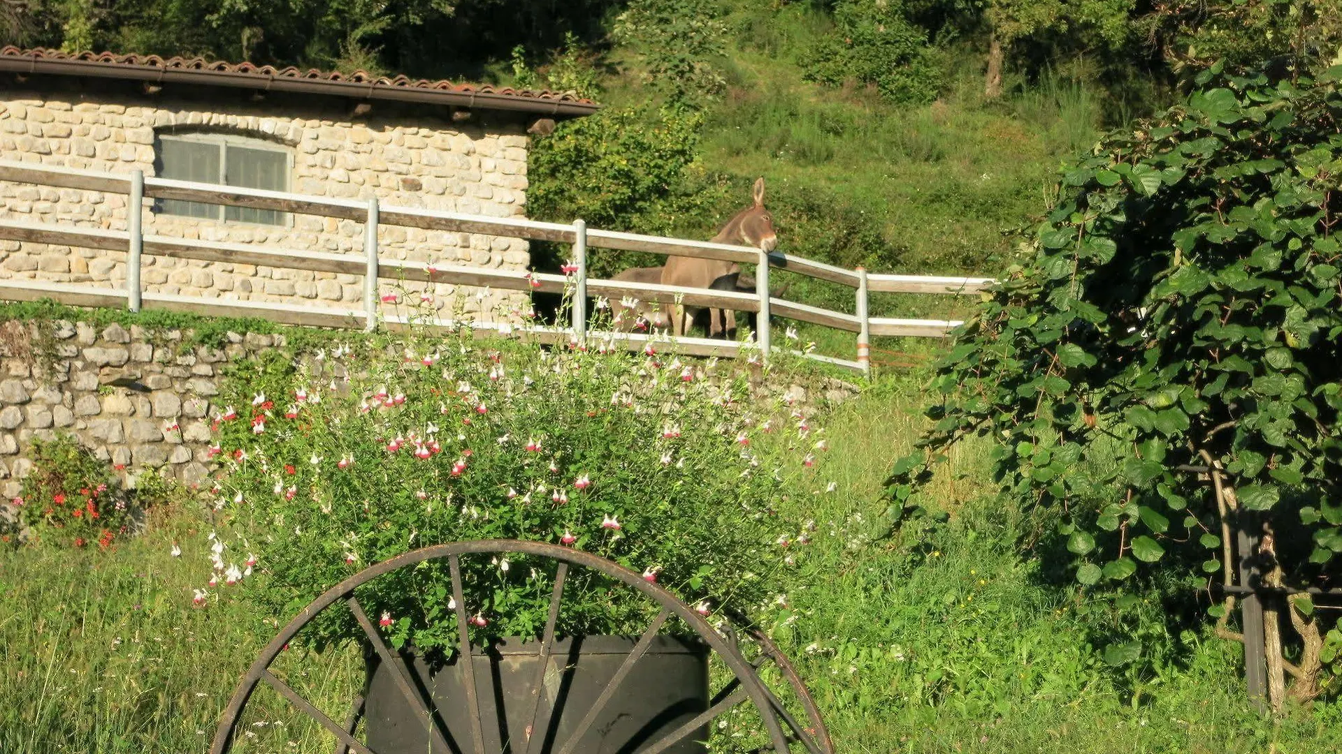 Agriturismo Deviscio 레코